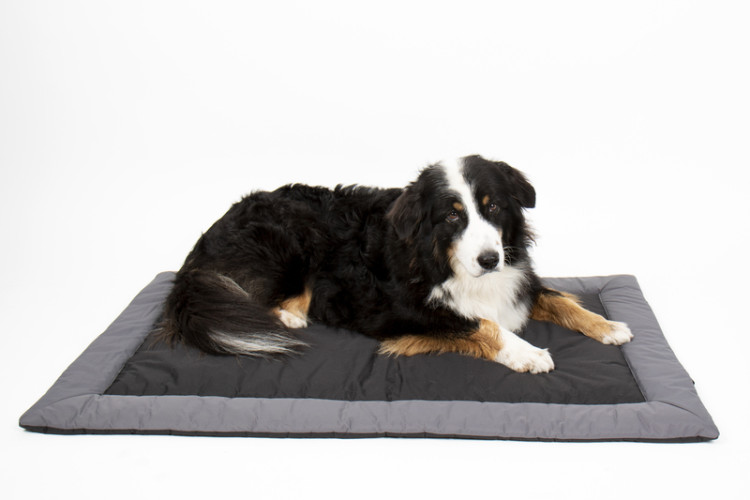 Dog bed CAMP4 Abby 100x65cm