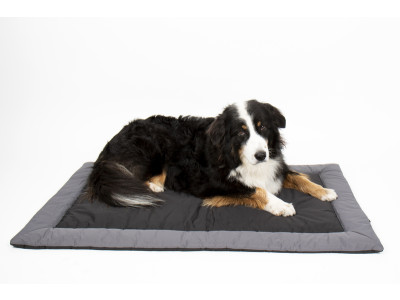 Dog bed CAMP4 Abby 100x65cm