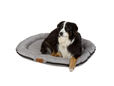 HOLIDAY TRAVEL Dog bed 100x75cm